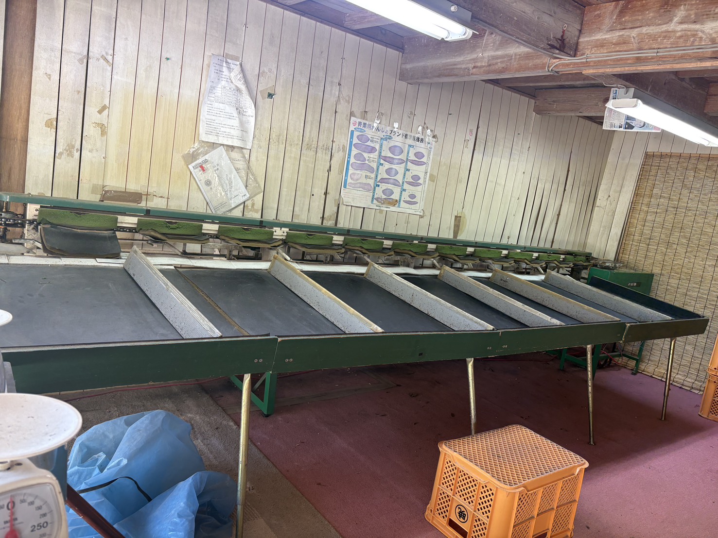 エトバス　マイコン選果機　4507B-30